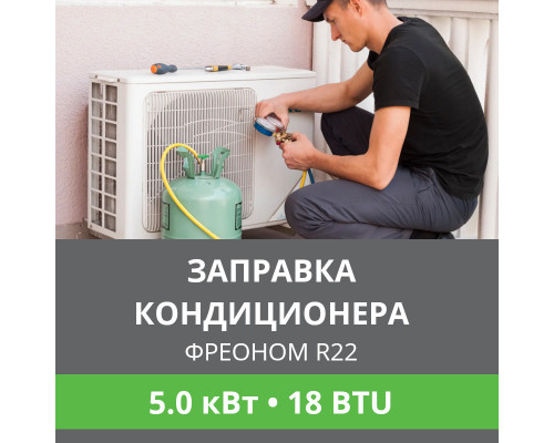 Заправка кондиционера Ballu фреоном R22 до 5.0 кВт (18 BTU)